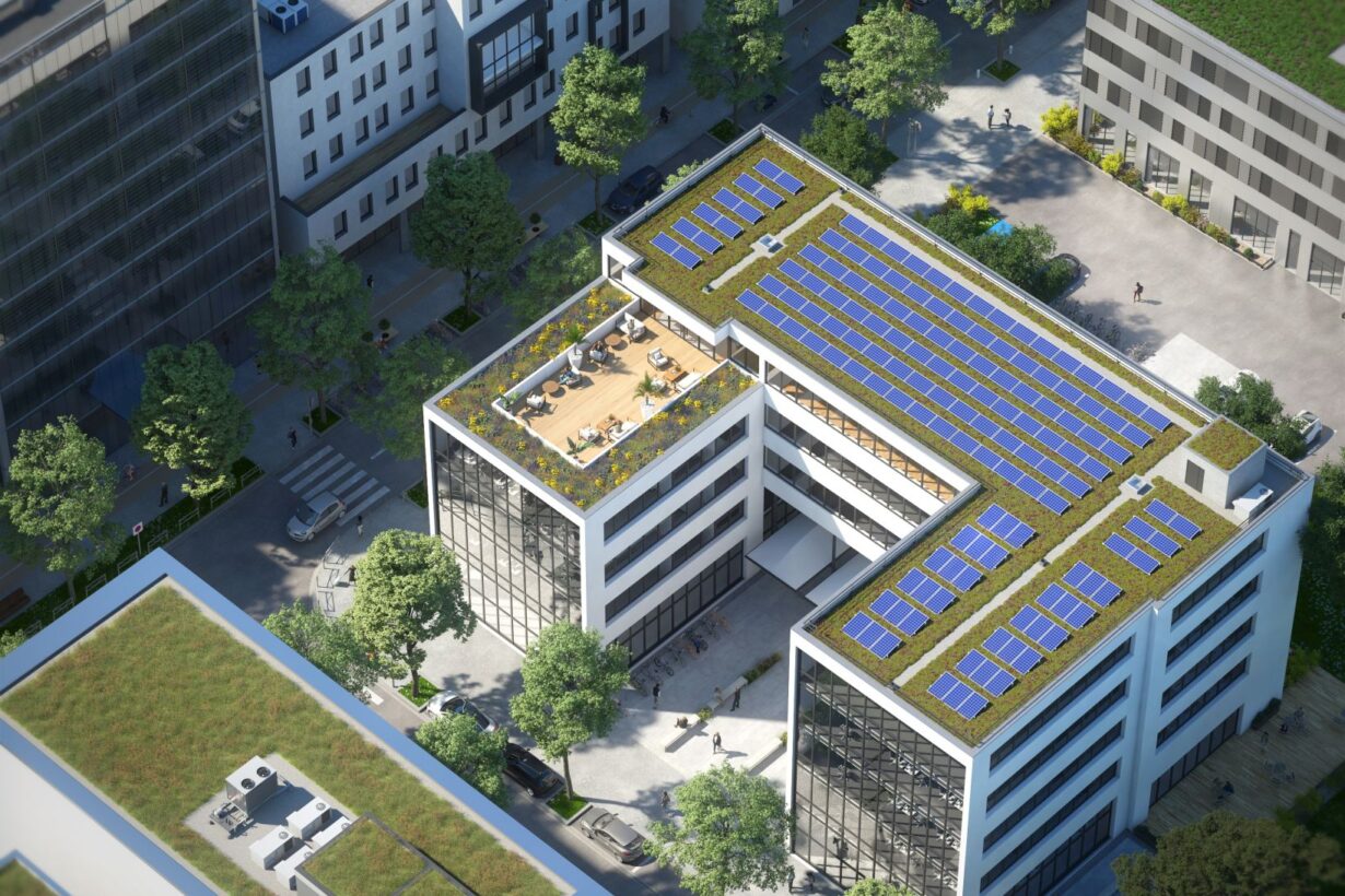 Instalar placas solares sobre una cubierta verde puede incrementar hasta un 3,6% su producción de energía