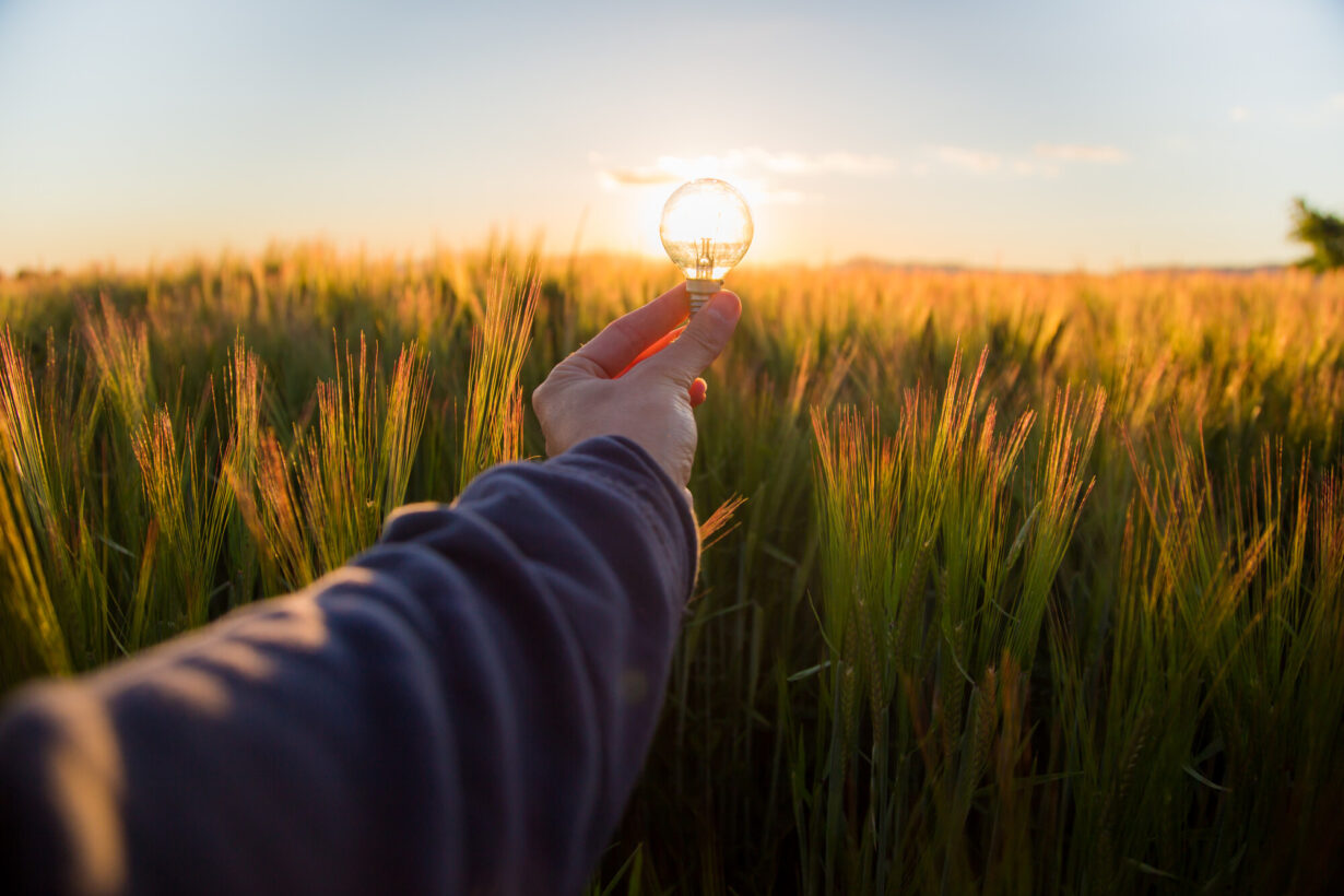 LEDVANCE celebra el primer aniversario de ‘El Poder de la Luz’ con iniciativas basadas en el ahorro y la eficiencia