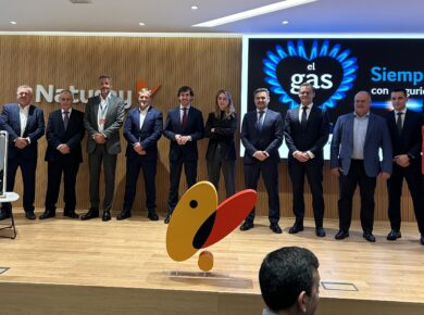 Los instaladores promueven una campaña para el uso seguro de las calderas de gas en viviendas